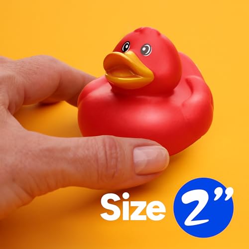 Jeep Ducks for Ducking - Duckies for Kids - 10 Pcs Ducky Playset Bath Toys - Rubber Ducks for Beach Pool - Goody Bag Stuffers Classroom Prizes