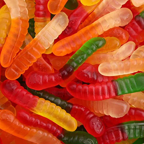 Gummy Worms - Fruity Gummy Candy for Kids - 18 oz Bag - Mini Gummy Worms - Gummies Fun and Delicious Gummy Candies Snack