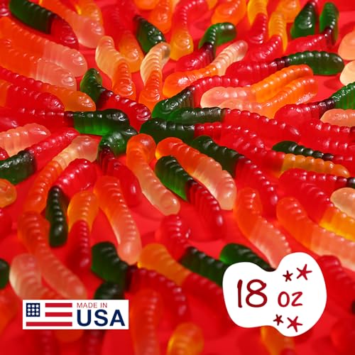 Gummy Worms - Fruity Gummy Candy for Kids - 18 oz Bag - Mini Gummy Worms - Gummies Fun and Delicious Gummy Candies Snack