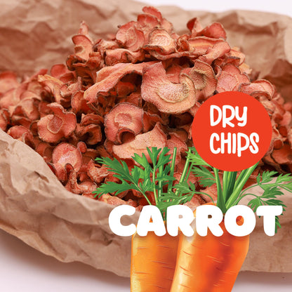 Premium Dried Carrots Dehydrated Vegetables 2.5 OZ (71 g) - 100% Natural Shredded Carrots Made in US - Dehydrated Vegetables for Ramen Soup Stews Food Supply Cooked Dishes Camping Gluten Free Snacks